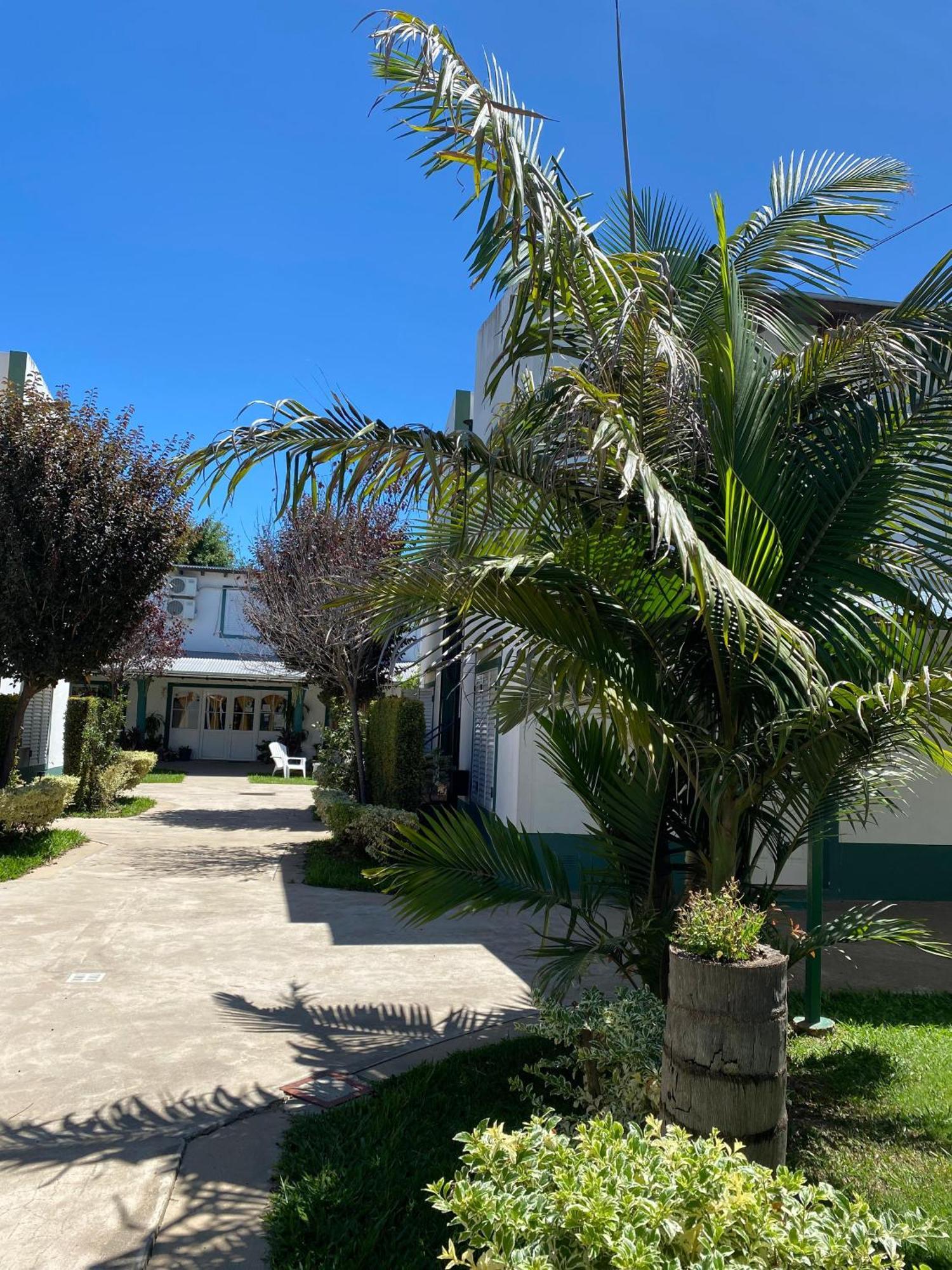 Sueno Colón